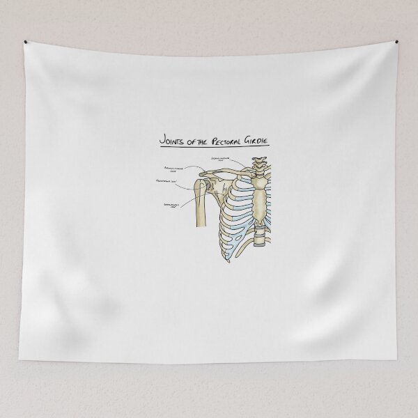 Item preview, Joints of the pectoral girdle  designed and sold by faolansforge.