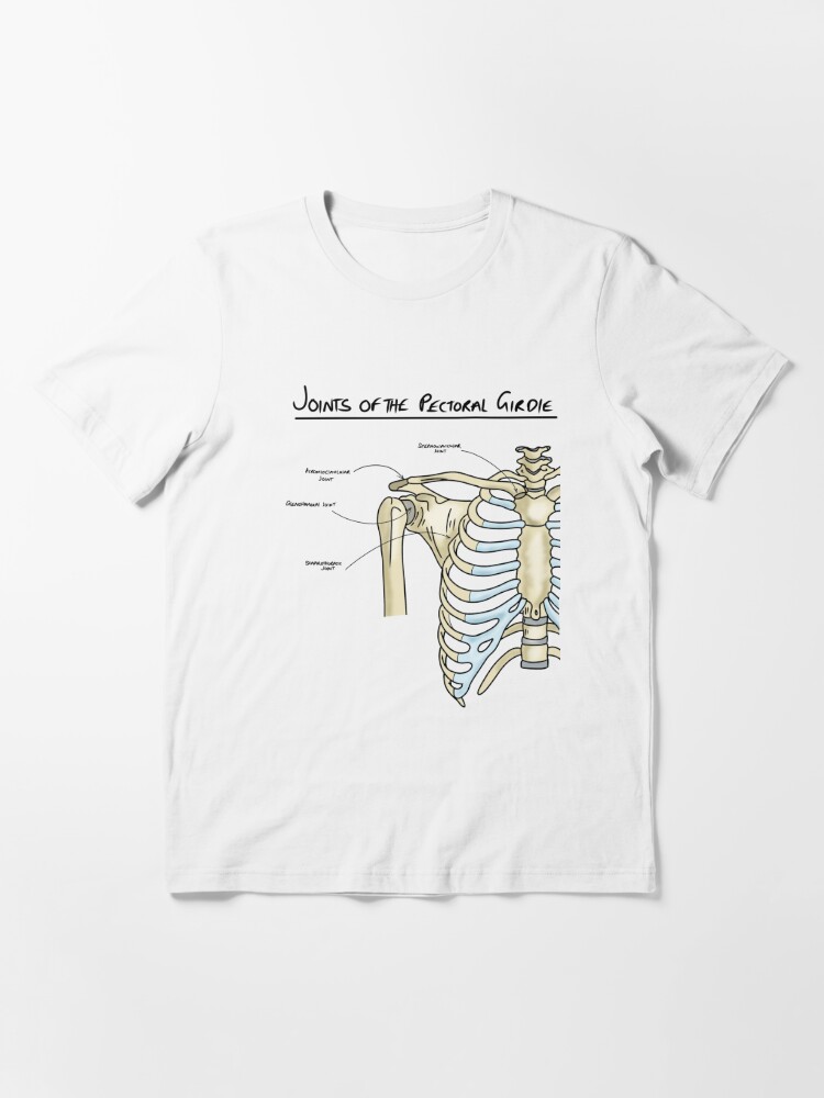 Pectoral girdle anatomy diagram  Poster for Sale by faolansforge
