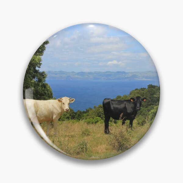 Item preview, Cute and funny looking cows with a great view over the Atlantic ocean, during hiking trail at the Azores island Pico, view to Sao Jorge island. designed and sold by AylaHarbich.