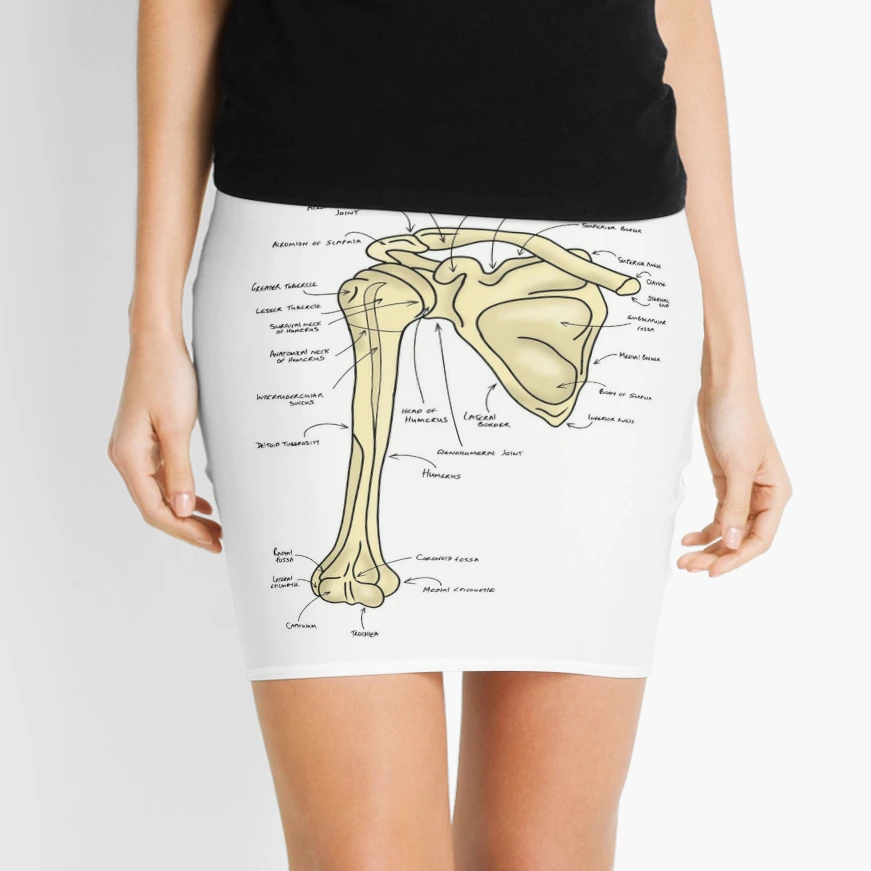 Pectoral girdle anatomy diagram  Mini Skirt for Sale by faolansforge