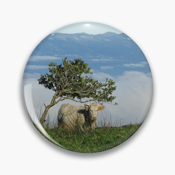 Item preview, Cute and funny looking cows with a great view over the Atlantic ocean, during hiking trail at the Azores island Pico, view to Sao Jorge island. designed and sold by AylaHarbich.