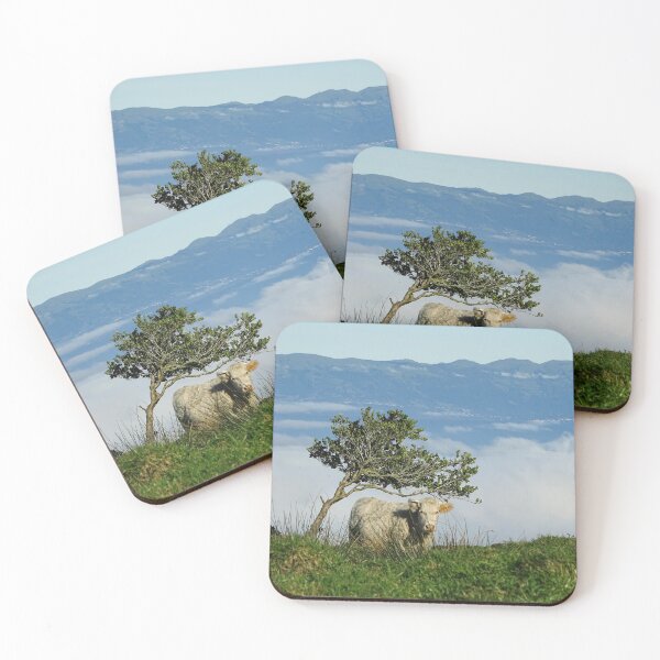Item preview, Cute and funny looking cows with a great view over the Atlantic ocean, during hiking trail at the Azores island Pico, view to Sao Jorge island. designed and sold by AylaHarbich.