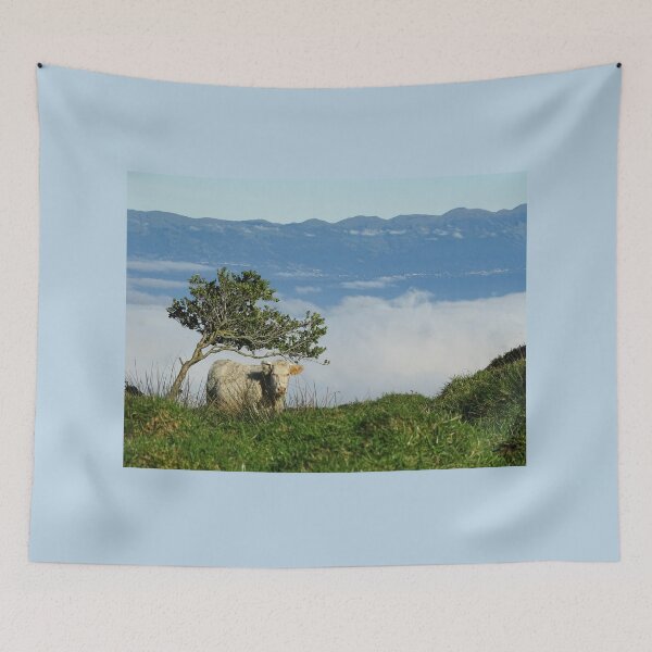 Item preview, Cute and funny looking cows with a great view over the Atlantic ocean, during hiking trail at the Azores island Pico, view to Sao Jorge island. designed and sold by AylaHarbich.