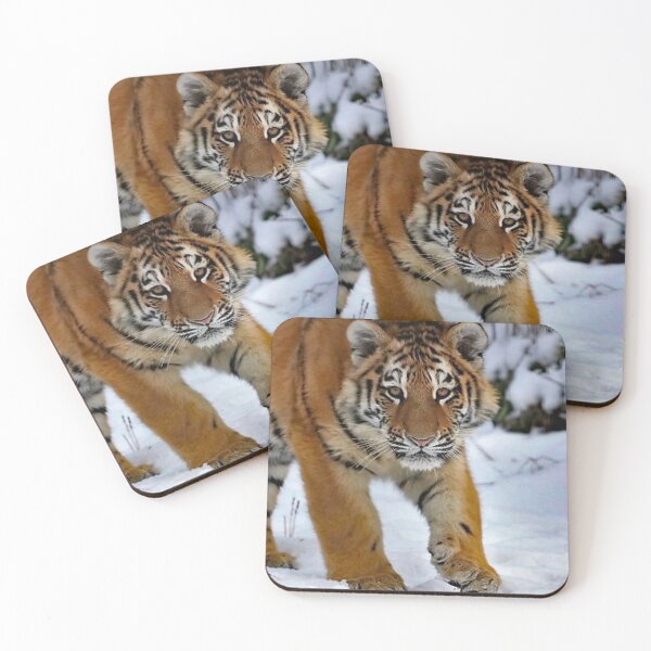Item preview, A Gorgeous Amur Tiger Cub designed and sold by Karen Thomson.