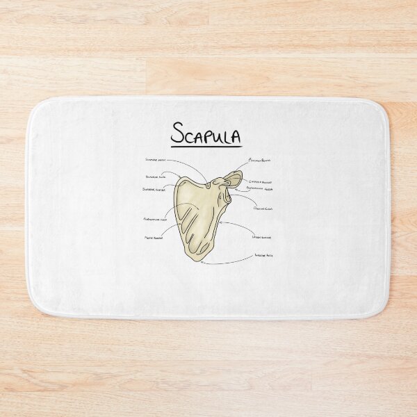 Item preview, Scapula anatomy  designed and sold by faolansforge.