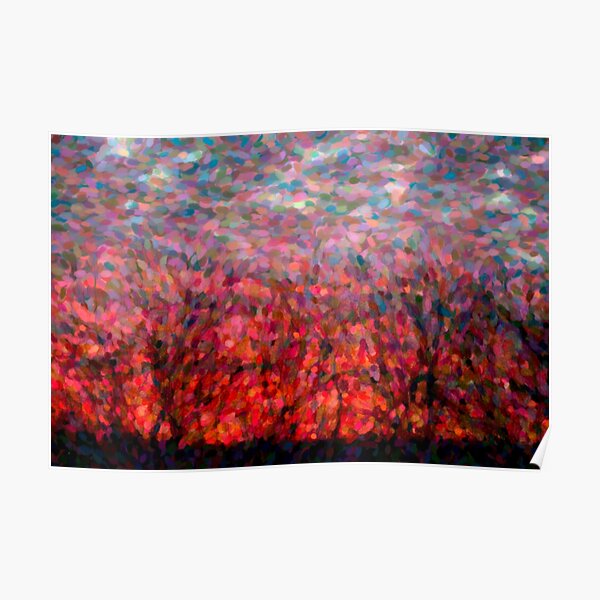 Warm Winter Sky Poster