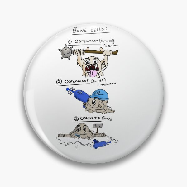 Item preview, Bone cells  designed and sold by faolansforge.