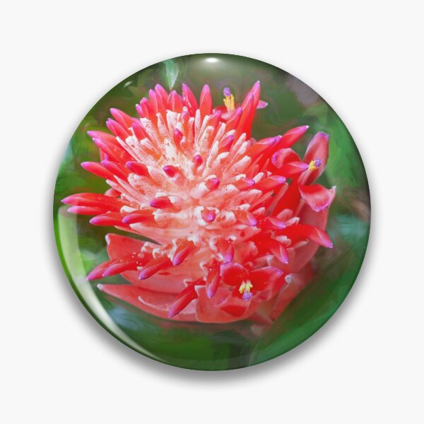Item preview, Flowering Bromeliads Red Guzmania  designed and sold by RichFrancoCars.