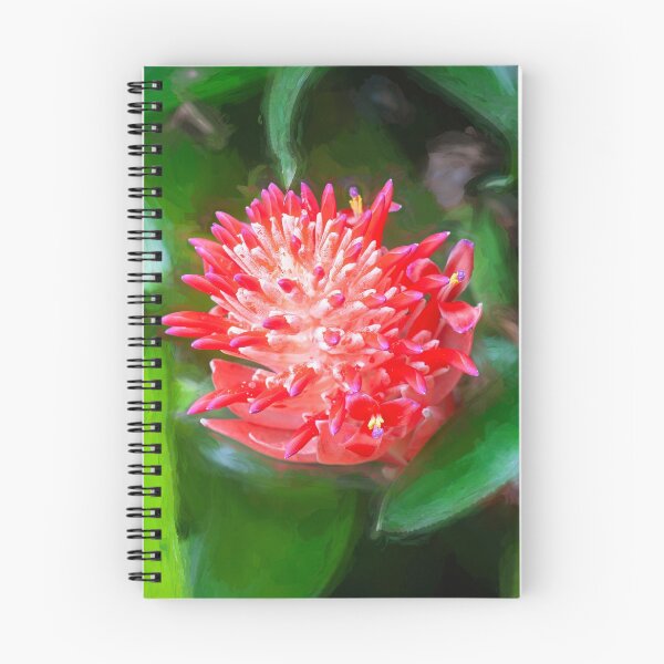Item preview, Flowering Bromeliads Red Guzmania  designed and sold by RichFrancoCars.
