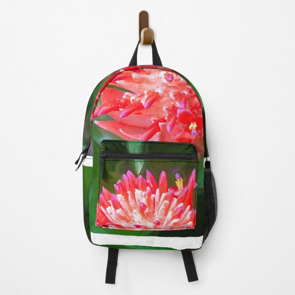 Item preview, Flowering Bromeliads Red Guzmania  designed and sold by RichFrancoCars.