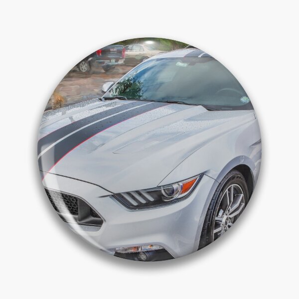 Item preview, 2017 Ford Mustang GT 5.0 designed and sold by RichFrancoCars.