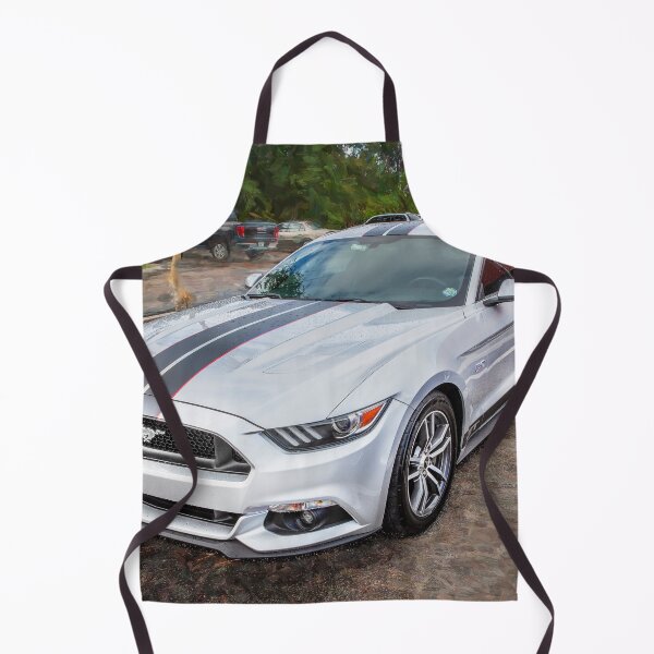 Item preview, 2017 Ford Mustang GT 5.0 designed and sold by RichFrancoCars.