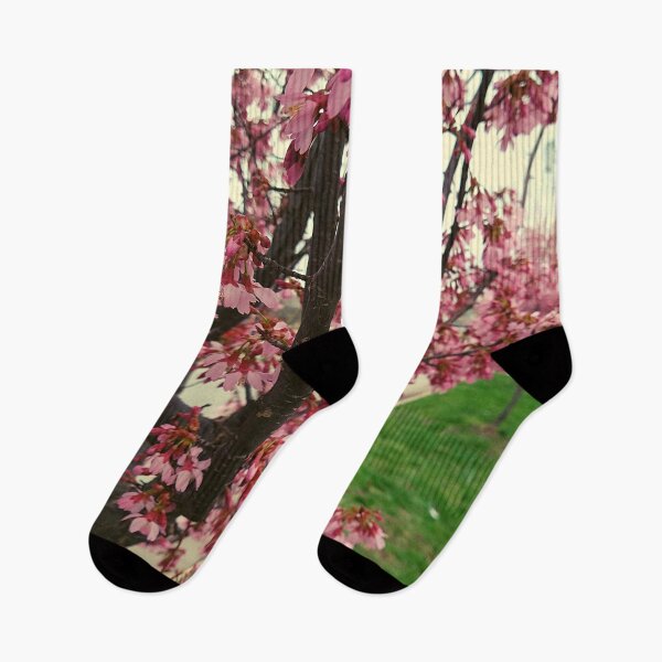 Item preview, Cherry Tree Blossoms In The Foreground Overcast Sky designed and sold by Mothe3rd.