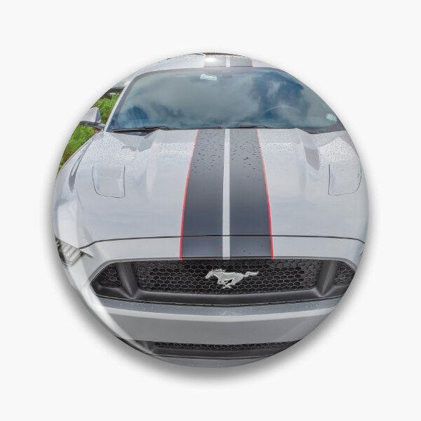 Item preview, 2017 Ford Mustang GT 5.0  designed and sold by RichFrancoCars.