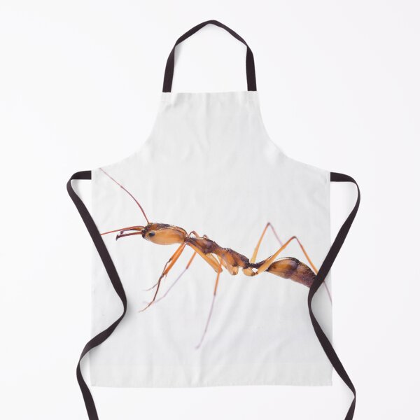 Item preview, Odontomachus hastatus designed and sold by BaptisteBen.