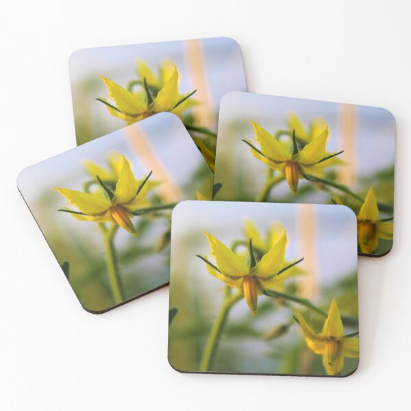 Item preview, Growing tomatoes designed and sold by Mahirov Shop.