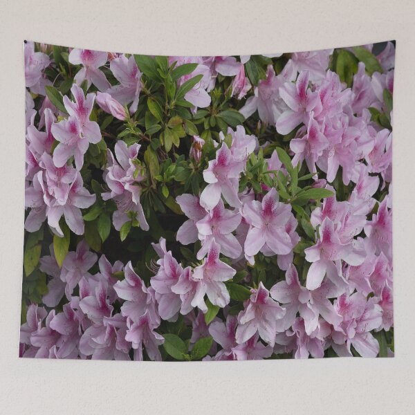 Item preview, Plentiful Pink Pastel Petals! designed and sold by NancyKHajjar.