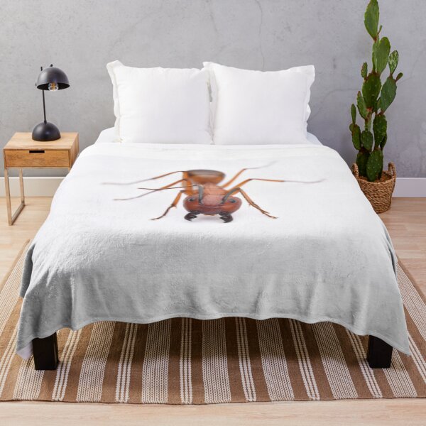 Item preview, Camponotus conspicuus designed and sold by BaptisteBen.