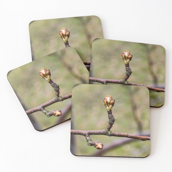 Item preview, Flower buds open designed and sold by Mahirov Shop.
