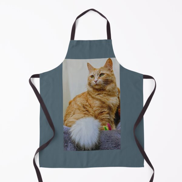 Item preview, Ragdoll Maine coon queen Arya designed and sold by Fluffycat2020.