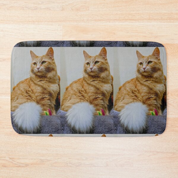 Item preview, Ragdoll Maine coon queen Arya designed and sold by Fluffycat2020.