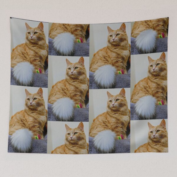 Item preview, Ragdoll Maine coon queen Arya designed and sold by Fluffycat2020.