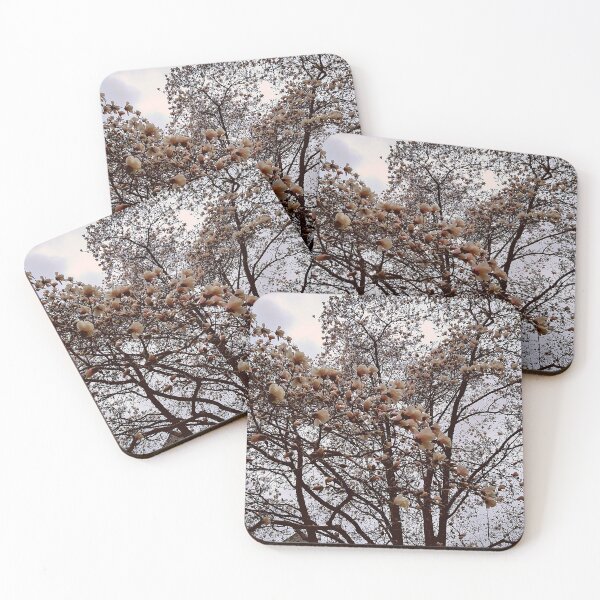 Item preview, Yulan Magnolia Tree on an Overcast Day designed and sold by Mothe3rd.