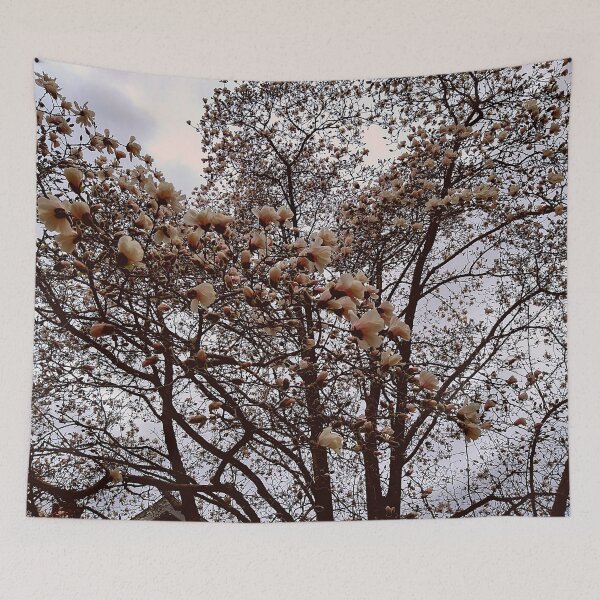 Item preview, Yulan Magnolia Tree on an Overcast Day designed and sold by Mothe3rd.