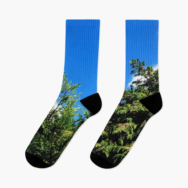 Item preview, Conifer against the sky. designed and sold by MindTravel.