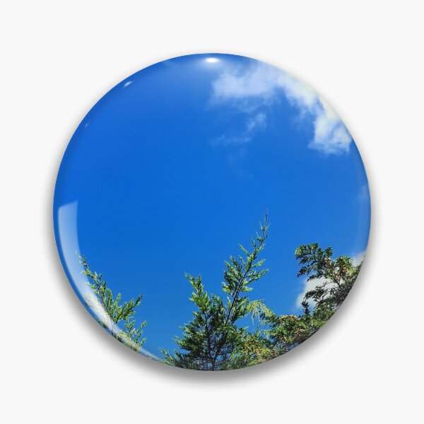Artikelvorschau, Koniferen gegen den Himmel. entworfen und verkauft von MindTravel.