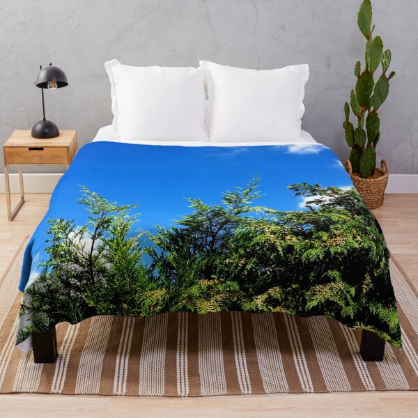 Item preview, Conifer against the sky. designed and sold by MindTravel.