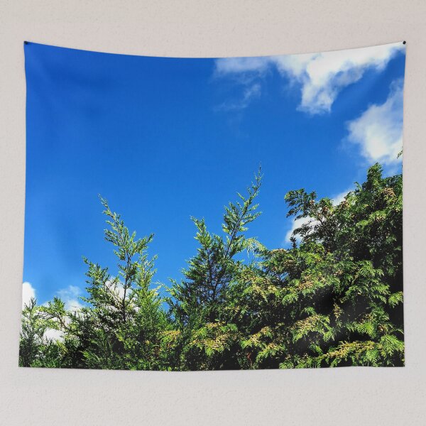 Item preview, Conifer against the sky. designed and sold by MindTravel.