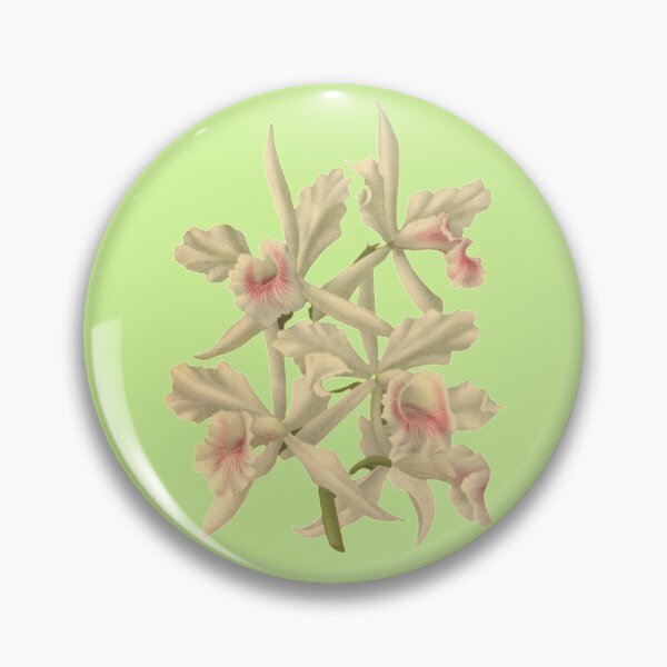 Item preview, Laelia designed and sold by MyTshirtArt.