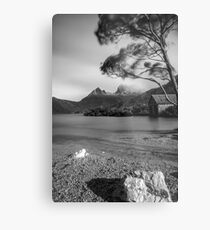 Cradle at its best Metal Print