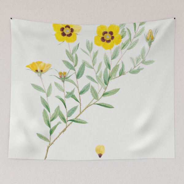 Item preview, Les Roses by Pierre-Joseph Redouté designed and sold by EsotericBotanic.