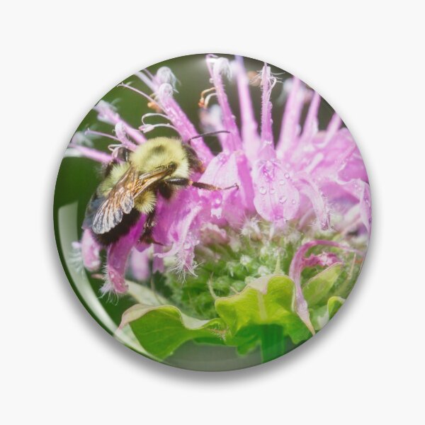Item preview, Bees Love Bee Balm designed and sold by Thymely.