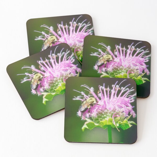 Item preview, Bees Love Bee Balm designed and sold by Thymely.