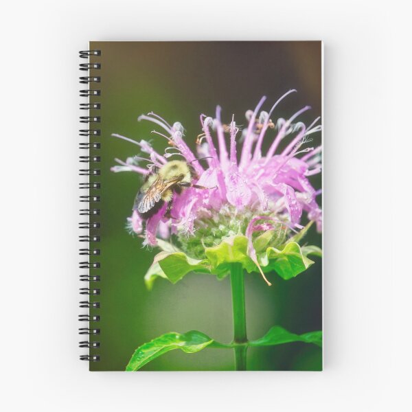 Item preview, Bees Love Bee Balm designed and sold by Thymely.
