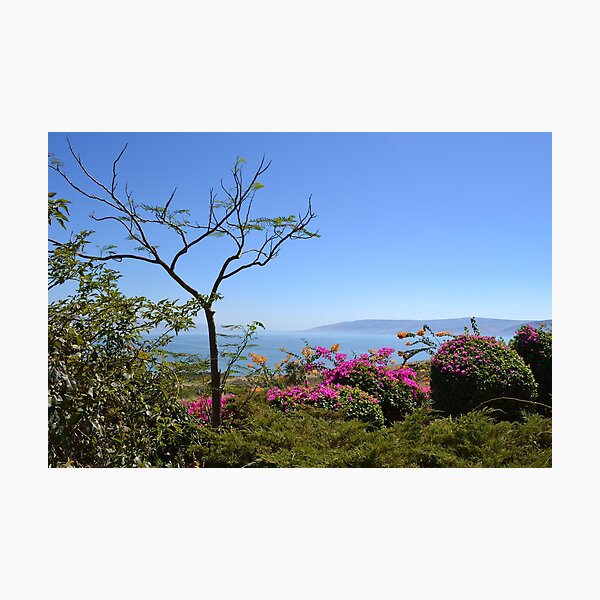 The Sea of Galilee Photographic Print