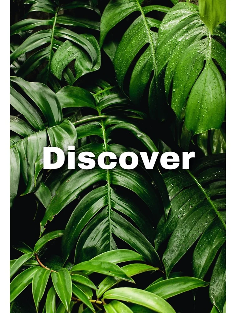 Thumbnail 4 of 4, iPhone Case, Discover designed and sold by RB Graphics.