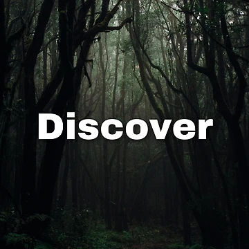 Artwork thumbnail, Discover by RB Graphics
