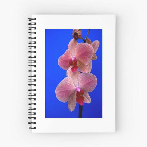 Item preview, The Orchid designed and sold by Robert Gipson.