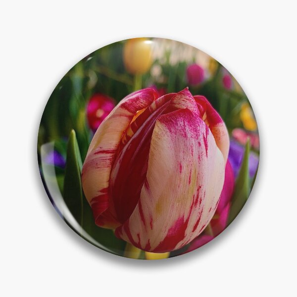 Item preview, Tulip love designed and sold by Mandypoolicious.