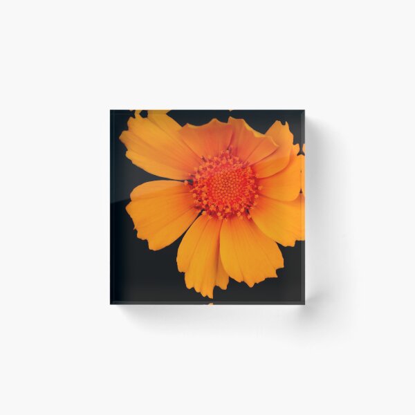 Item preview, Happy Flower  designed and sold by Geoff Treagus.