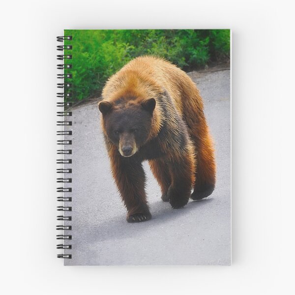 Item preview, Black Bear - Walking On The Wild Side designed and sold by IMAGETAKERS.