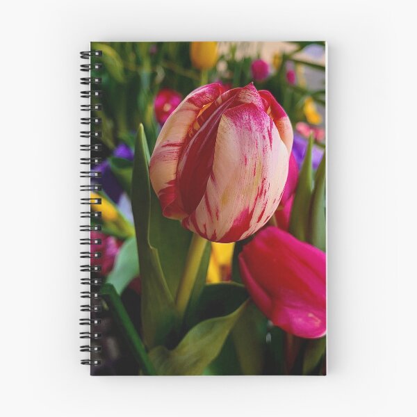 Item preview, Tulip love designed and sold by Mandypoolicious.