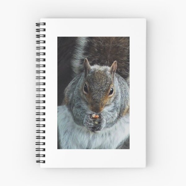 Item preview, Grey Squirrel designed and sold by Robert Gipson.
