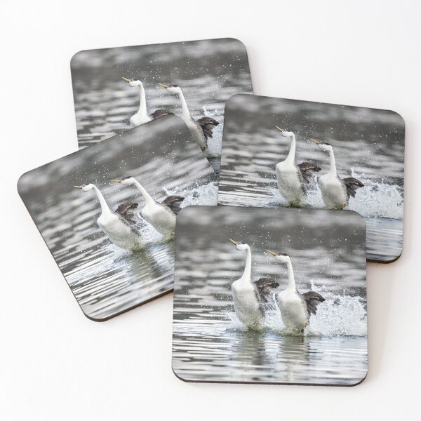 Item preview, Rushing Grebes designed and sold by CarolM.