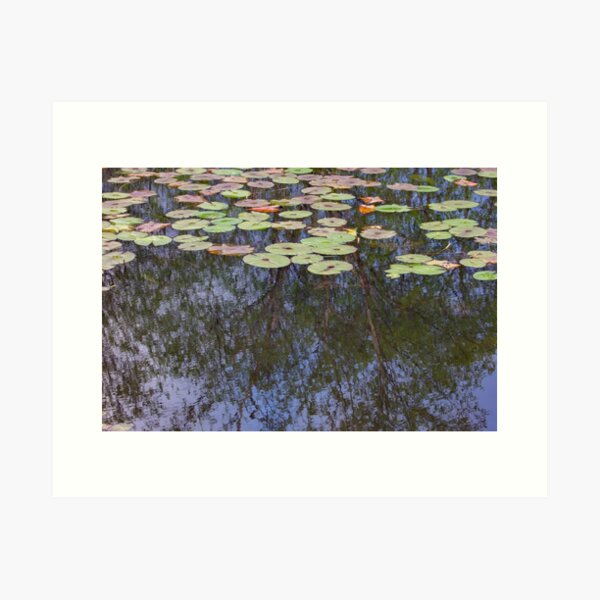 Bonville Dam reflection Art Print