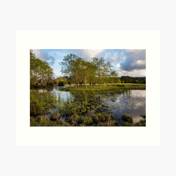 Dam at Bonville Art Print